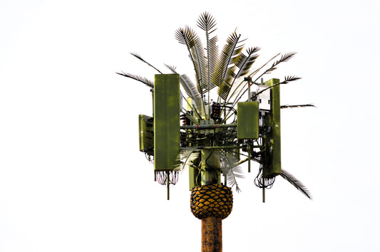 Coconut Wireless