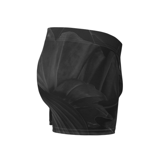 Boxer Briefs